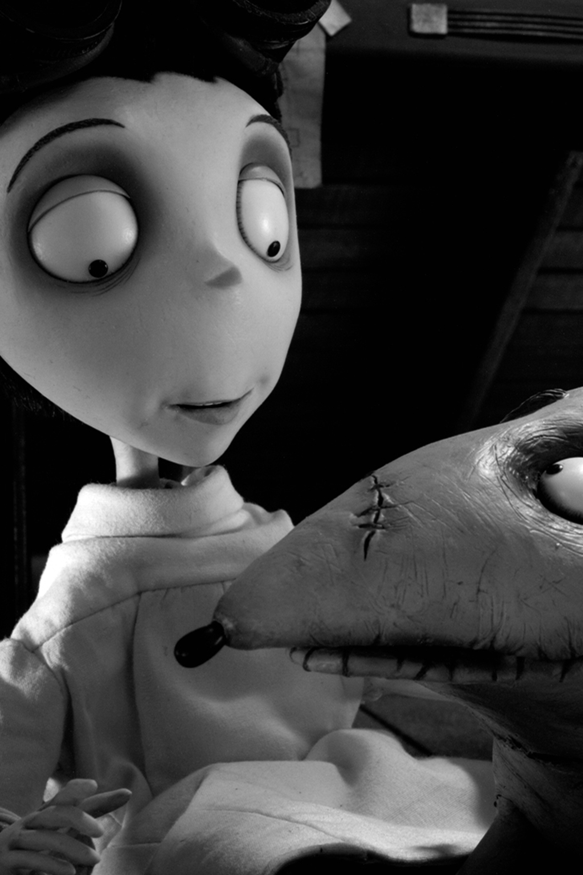 Image du film Frankenweenie de Tim Burton